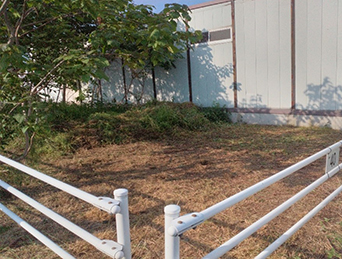 作業例1 倉庫敷地内 作業後
