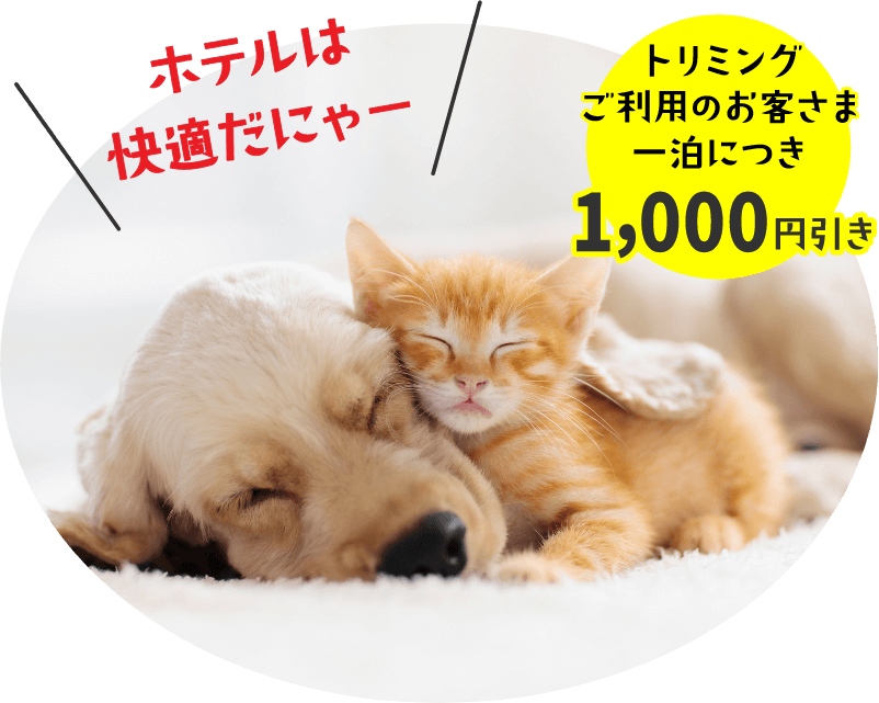 トリミングご利用のお客さま一泊につき1,000円引き