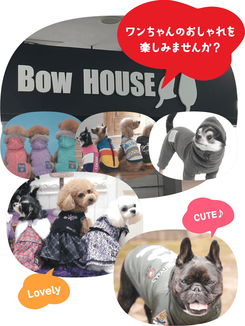 ワンちゃんのおしゃれを楽しみませんか？