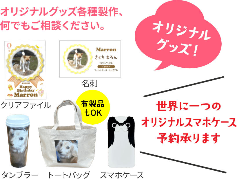 毎月変わるフォトスポットをご用意！