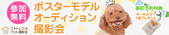 サンデー・Zoomore hulotoreko 
			フォトレコペット撮影会はこちら